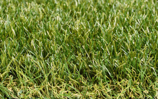 Royal Grass Sense