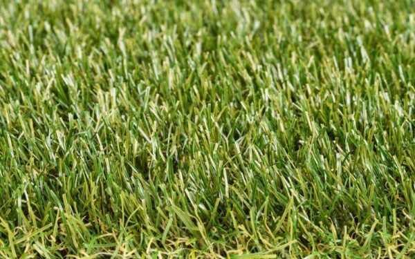 Royal Grass Wave 0,78m x 3,90m - Afbeelding 3