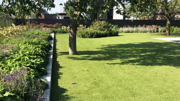 Royal Grass Bliss