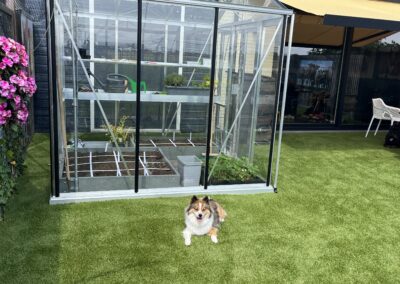 Kunstgras geschikt voor huisdieren