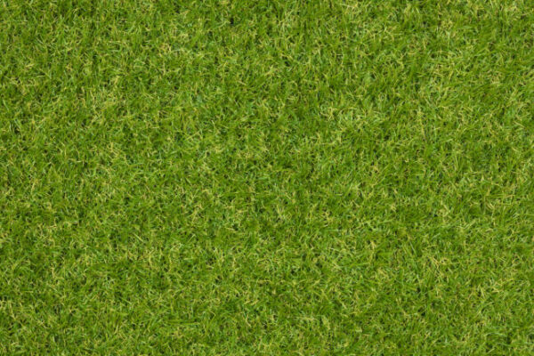Astin 25mm 1m x 2m - Afbeelding 2